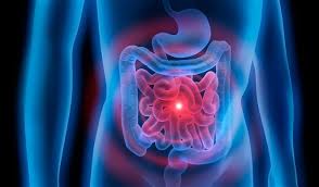 gut health image