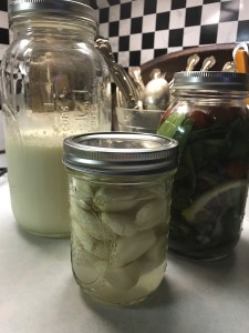 cultured kefir, garlic and mixed veggies