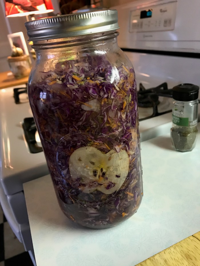 Cultured red cabbage with apple - delicious!